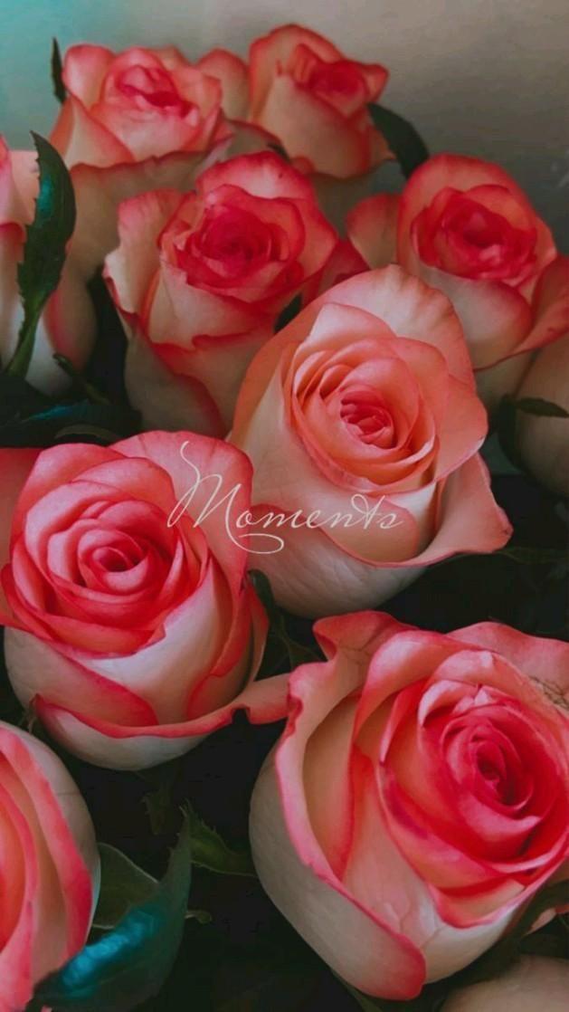 Whispers of Dawn Pastel Bouquet